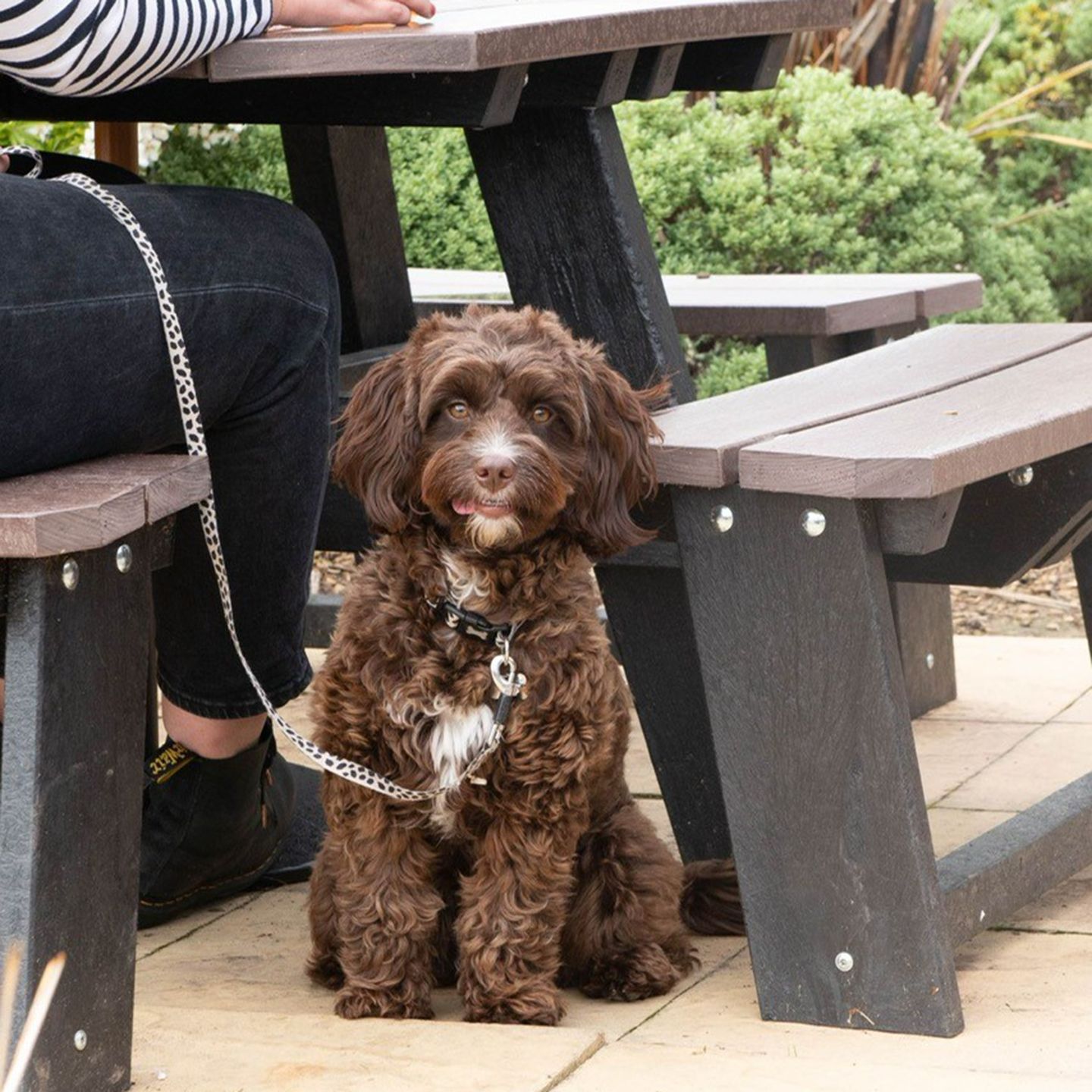 Your local dog friendly pub in Thatcham